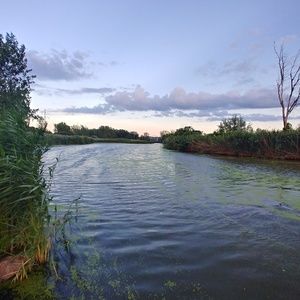 Meet your Posher, Gabriel